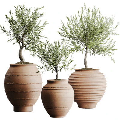 outdoor plant set 06 — Вид 3