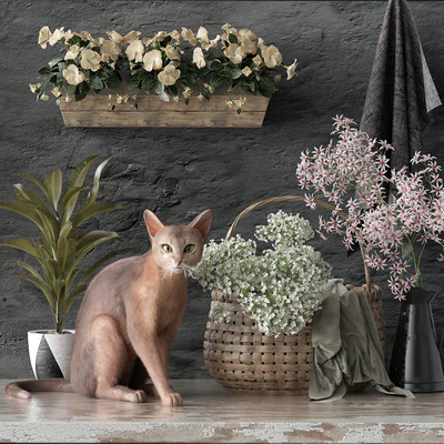Decorative set 5 — descargar