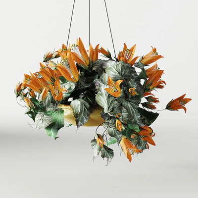 Confetti — Ver 2