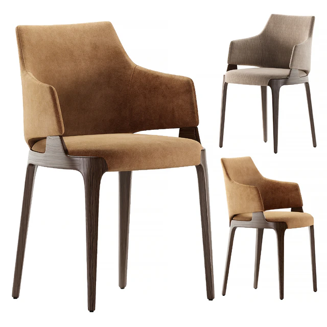 Dining Velis chair — Descargar