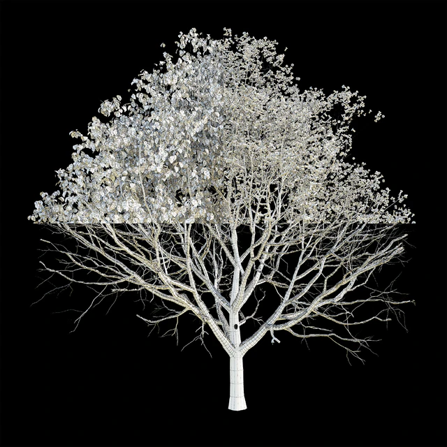 Apple tree 3 season — Descargar