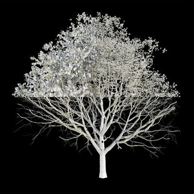 Apple tree 3 season — Ver 2