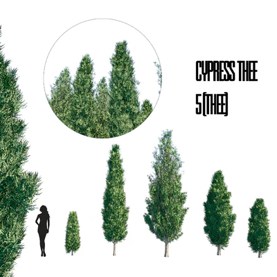 cypress thee set 1 — Descargar