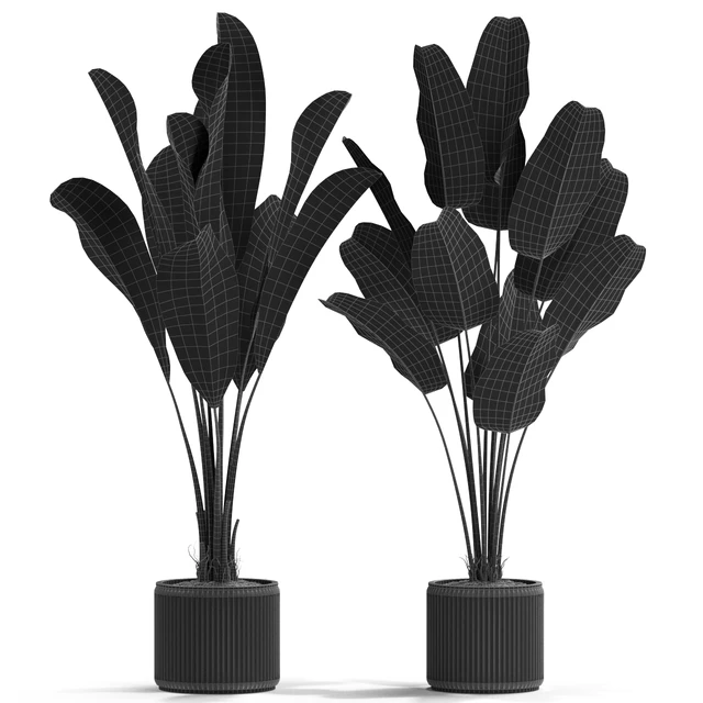 Plants collection 539 — Скачать