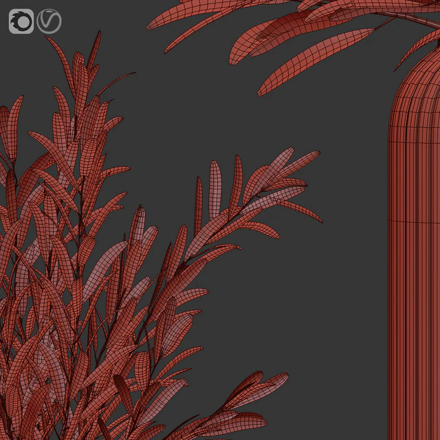 Olives in vases 3 — Скачать
