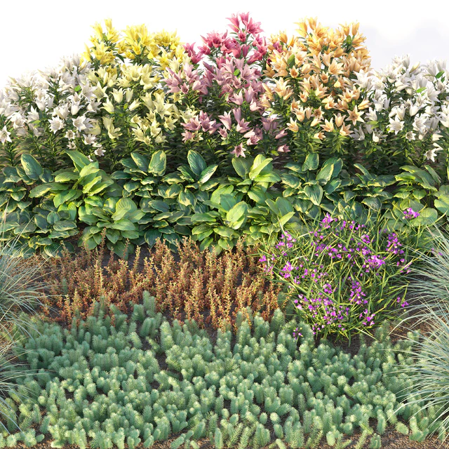 Flower garden 3 — Descargar