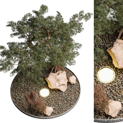 Outdoor Plant 69 — Вид 4