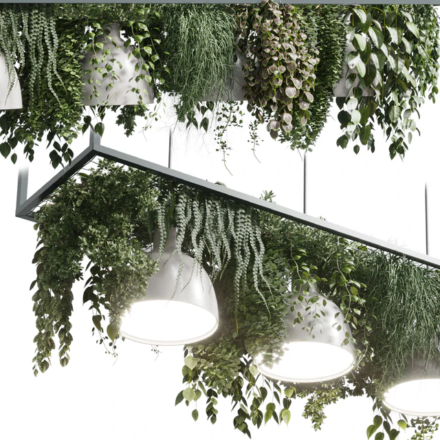 pot light pendant - plant light hanging 08 — Скачать