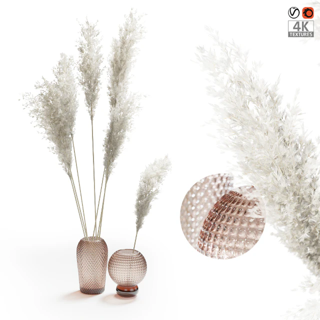 Букет из пампасной травы  (Pampas grass bouquet) — Скачать
