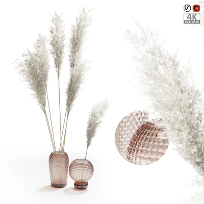 Букет из пампасной травы  (Pampas grass bouquet) — Вид 1