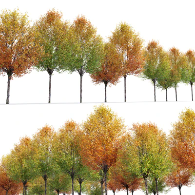 Autumn pear tree — Ver 5