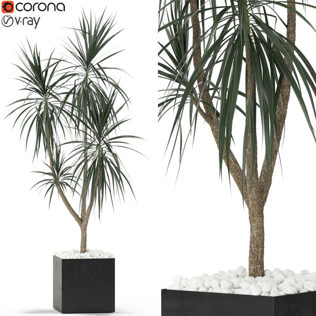 Plants collection 392 — Скачать