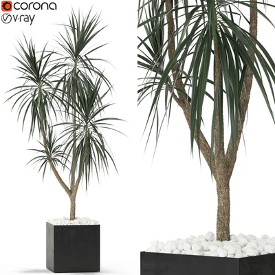 Plants collection 392 — Вид 1