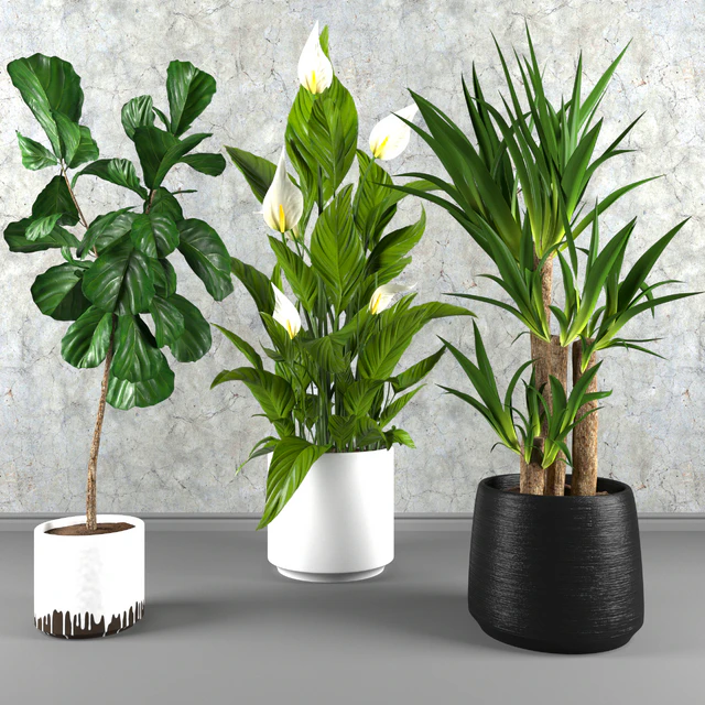 Contemporary houseplant set 3 — Descargar