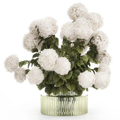 Large lush festive bouquet in a glass green vase with white hydrangea. Set 582. — descargar