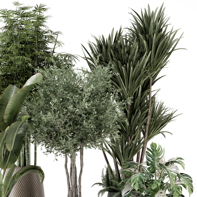 Indoor Plants in Ferm Living Bau Pot Large - Set 1325 — Descargar