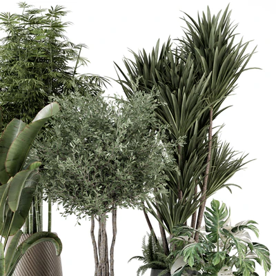 Indoor Plants in Ferm Living Bau Pot Large - Set 1325 — Ver 4