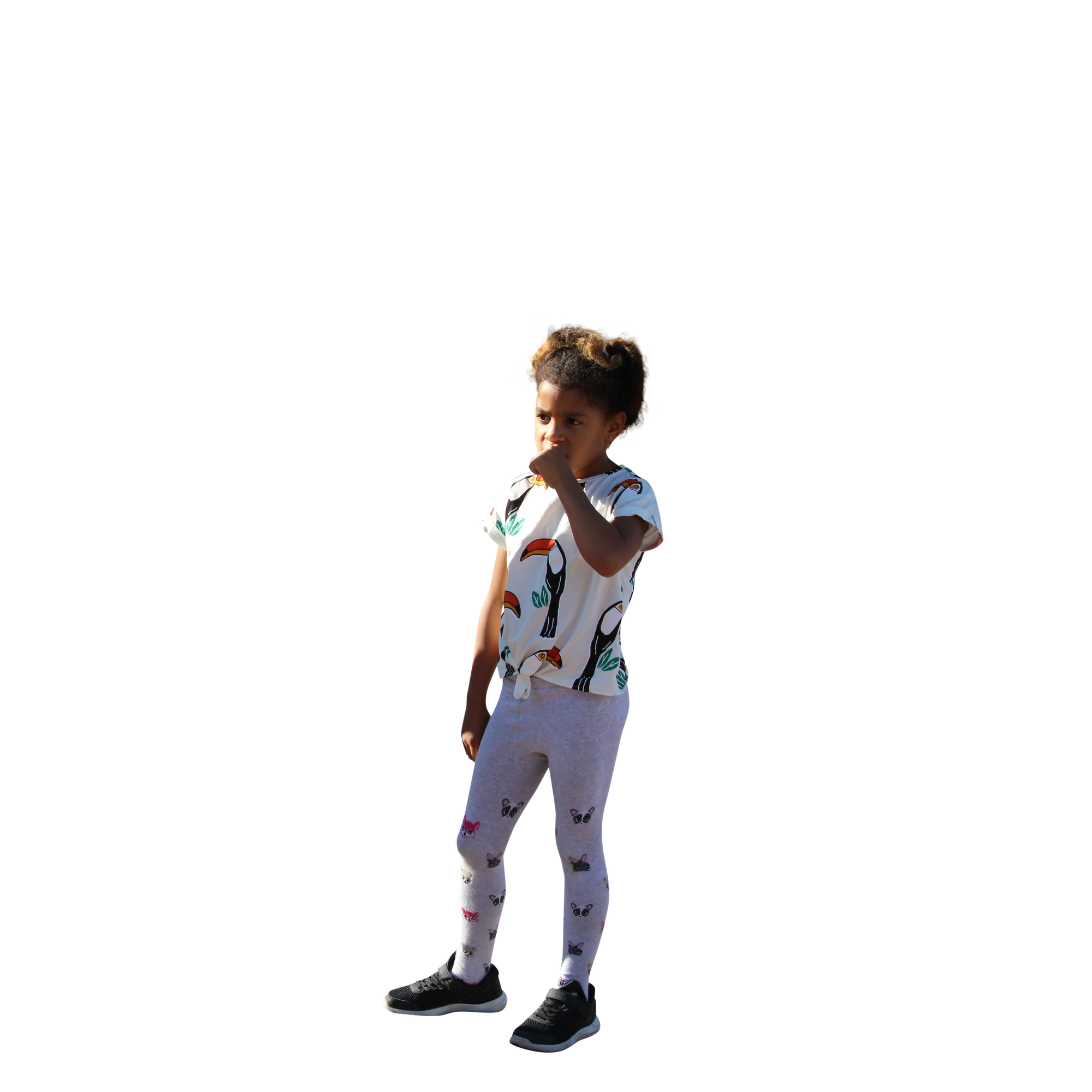 2029 — Descargar