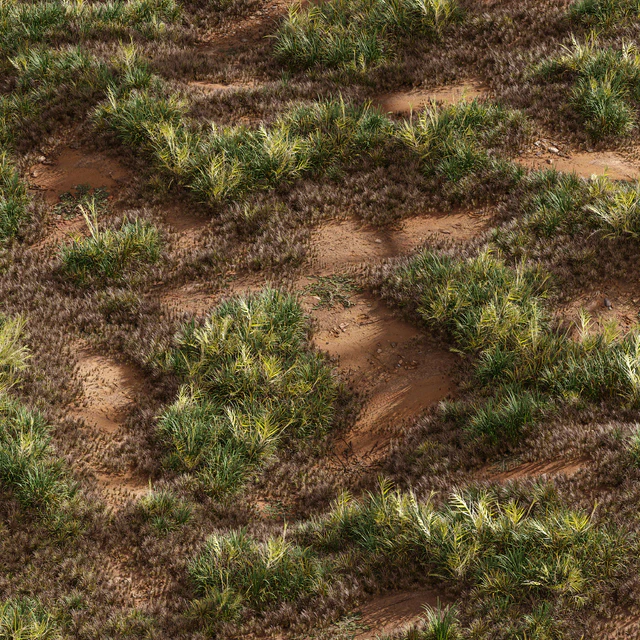 Meadow Lawn Grassland Set 003 — Descargar