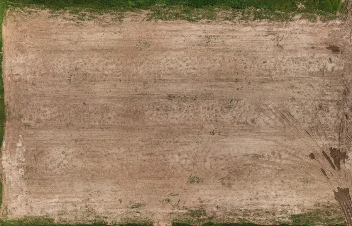 field summer 008 — Descargar
