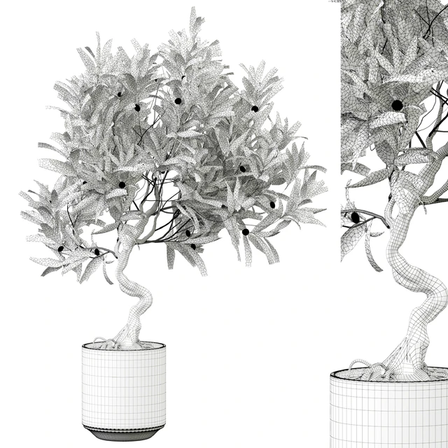 indoor Plant 289 — Скачать