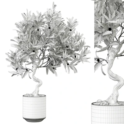 indoor Plant 289 — Вид 2