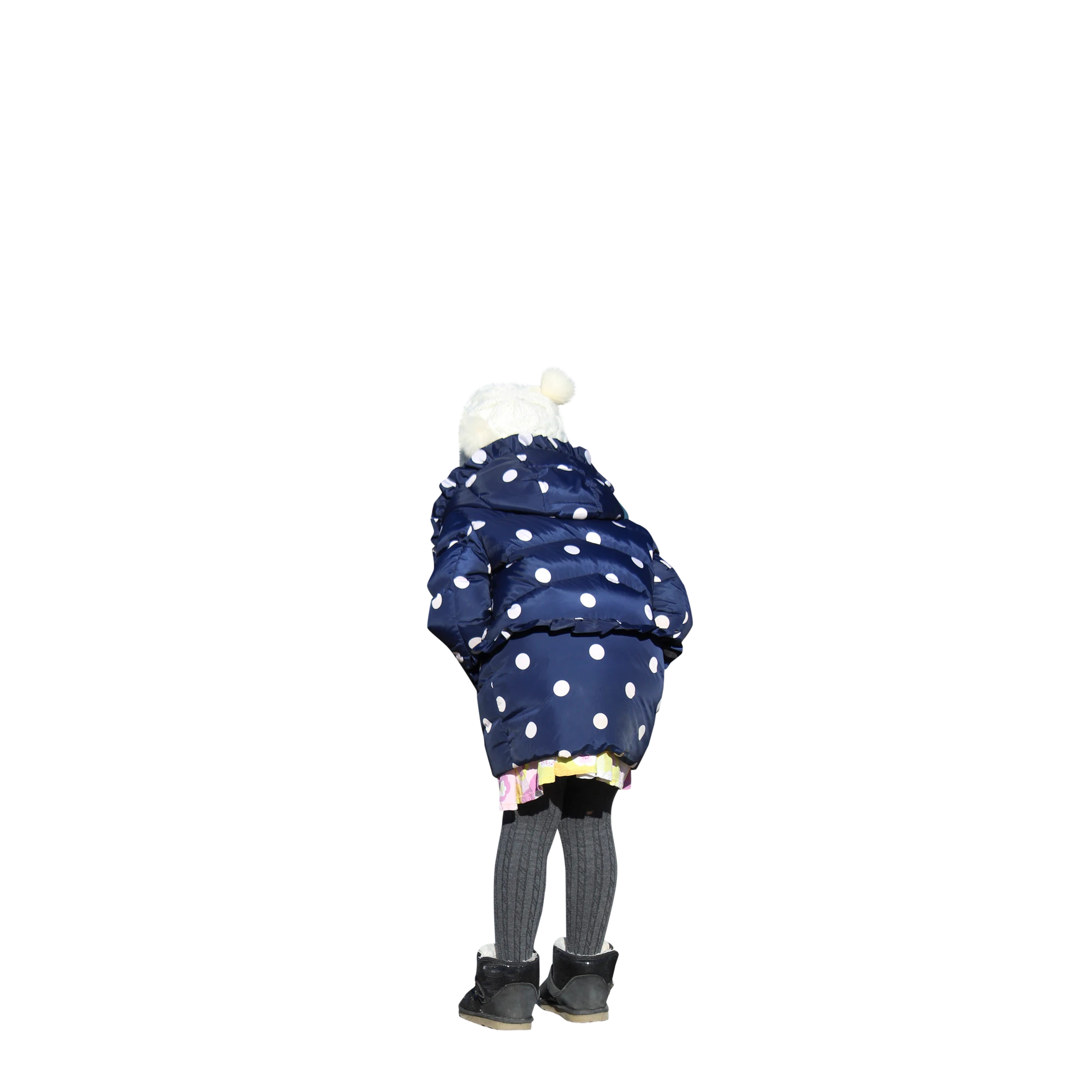 2641 — Скачать