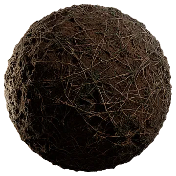 dried scarce grass 004 — Скачать
