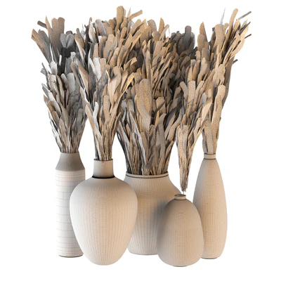 Indoor plants 01 - Pampas set in Pottery Pots — Ver 3