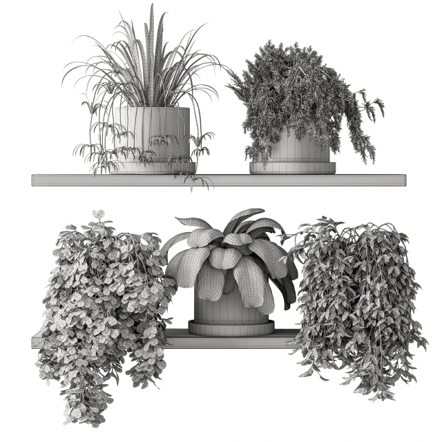 indoor Plant Set 281 - Plant pot on shelves — Descargar