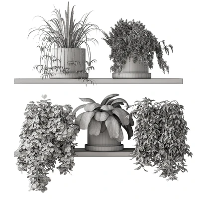 indoor Plant Set 281 - Plant pot on shelves — Ver 5