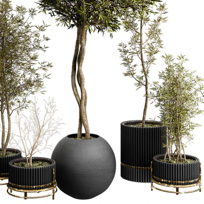 Plant Collection Set 03 — Ver 4