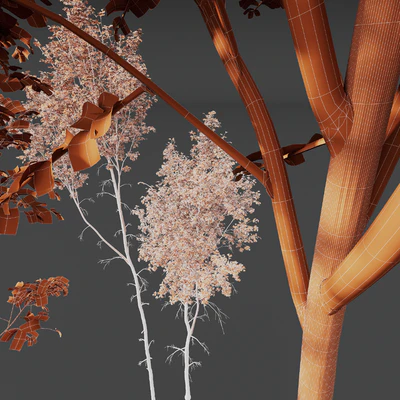 HQ Plants Betula Pendula02 — Ver 3