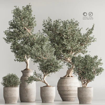Indoor Plant Set 53 — Ver 1