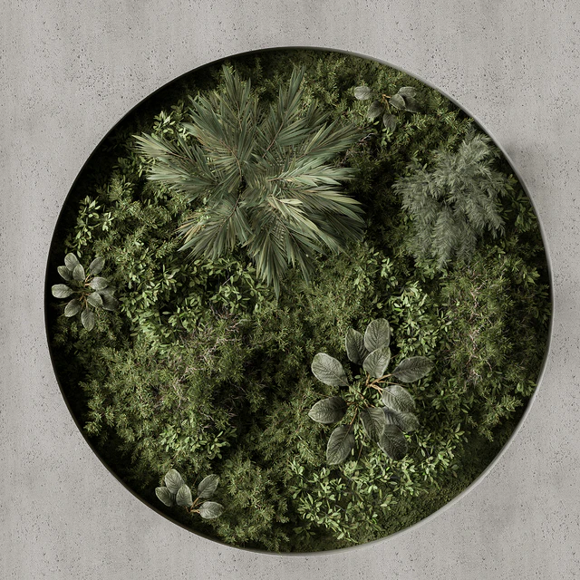 Vertical Garden - Green Wall 97 — Descargar