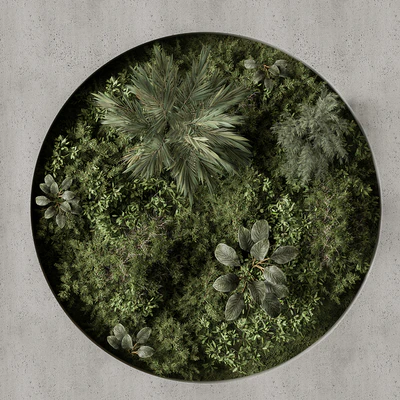 Vertical Garden - Green Wall 97 — Ver 3