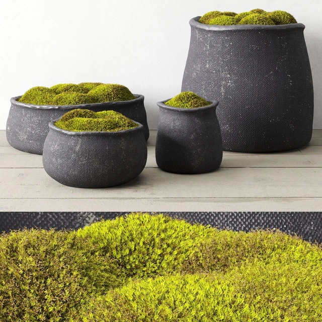 Crosshatch concrete vessel collection with moss — Descargar