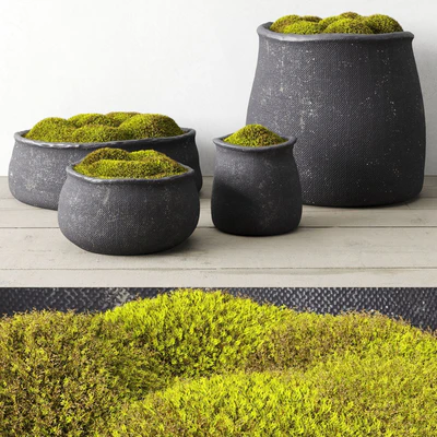 Crosshatch concrete vessel collection with moss — Ver 1