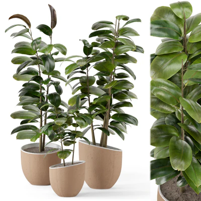 Indoor Plants  in rusty Concrete Pot - Set 692 — скачать