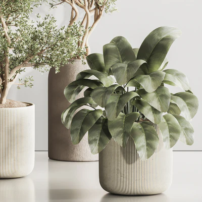 Indoor Plant Set 121 — Вид 3