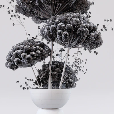 Dried Flower — Вид 2