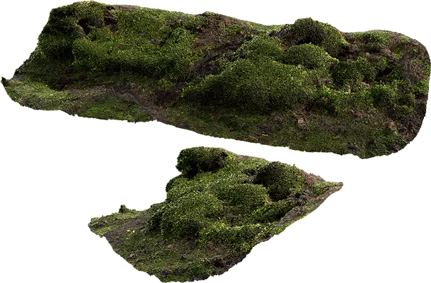 mossy embankment 012 — Descargar