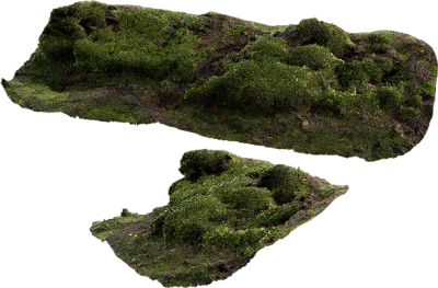 mossy embankment 012 — Descargar