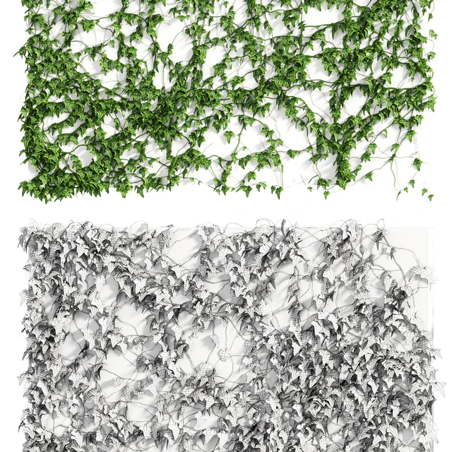 Ivy Wall 4 models — Descargar