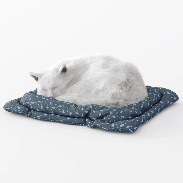 Fluffy cat — Descargar