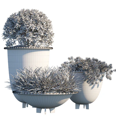 Plant in pots #6 — Вид 2