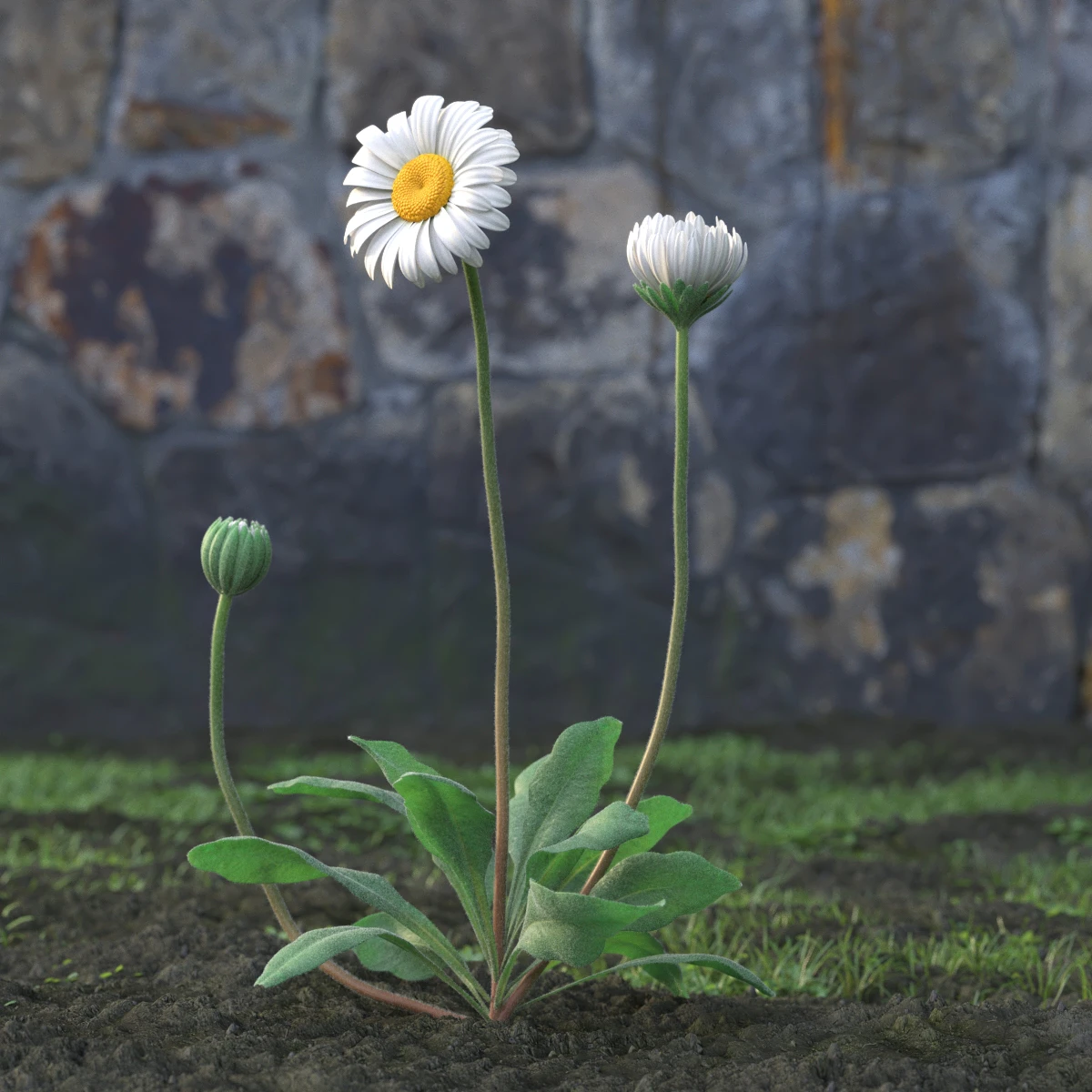 garden flowers 037 — Скачать