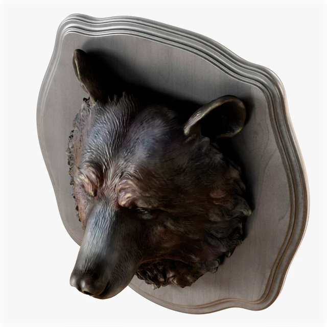 Bear head — Descargar
