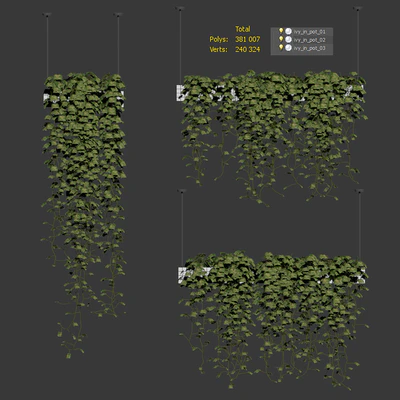 Ivy in hanging pots. 3 models — Ver 3