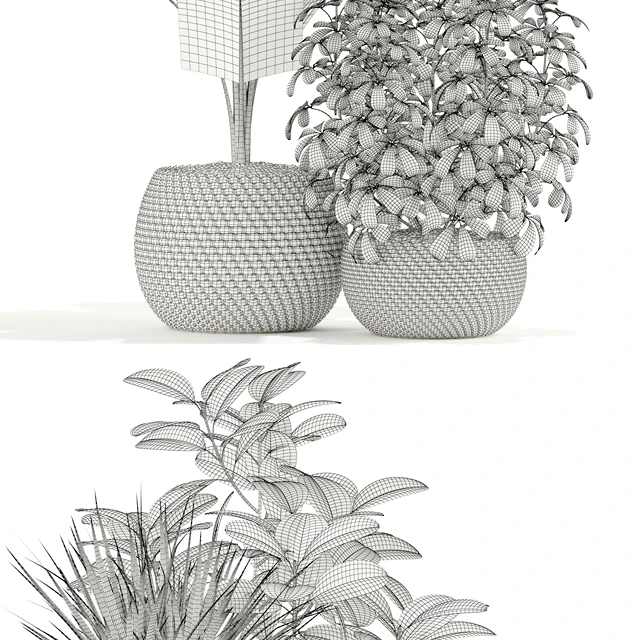 Plants collection 116 — Скачать